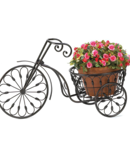 Plant Holder 004