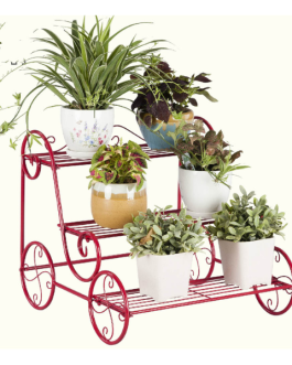 Plant Holder 001