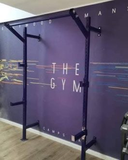 Wall mount squat rack wmsr1